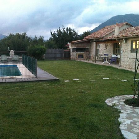 Elaion Guesthouse Ellinikón Dış mekan fotoğraf