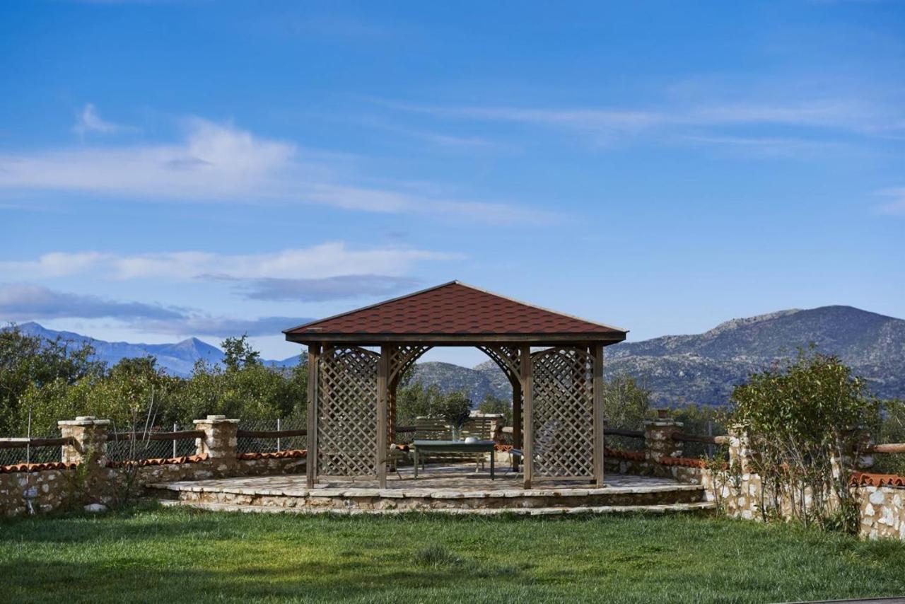 Elaion Guesthouse Ellinikón Dış mekan fotoğraf