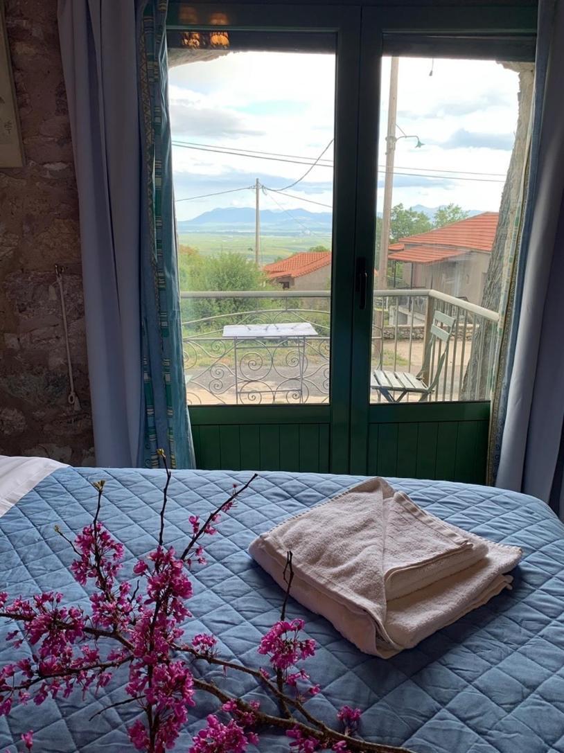 Elaion Guesthouse Ellinikón Dış mekan fotoğraf