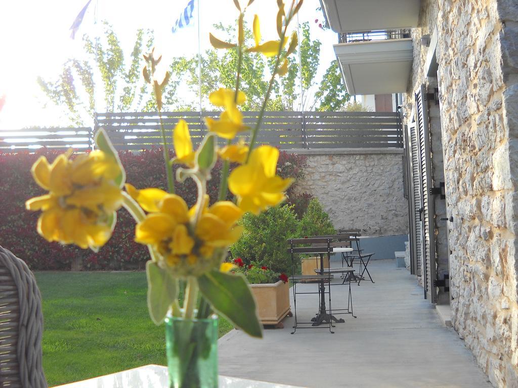 Elaion Guesthouse Ellinikón Dış mekan fotoğraf