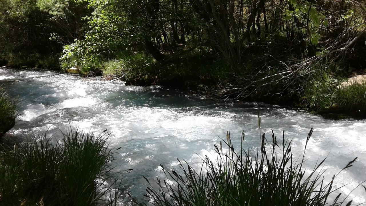Elaion Guesthouse Ellinikón Dış mekan fotoğraf