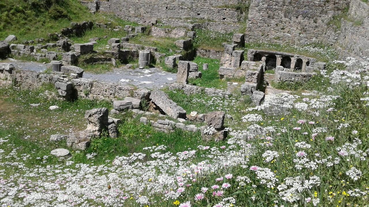 Elaion Guesthouse Ellinikón Dış mekan fotoğraf