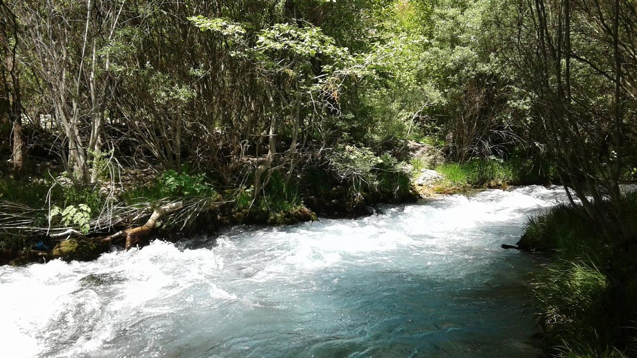 Elaion Guesthouse Ellinikón Dış mekan fotoğraf
