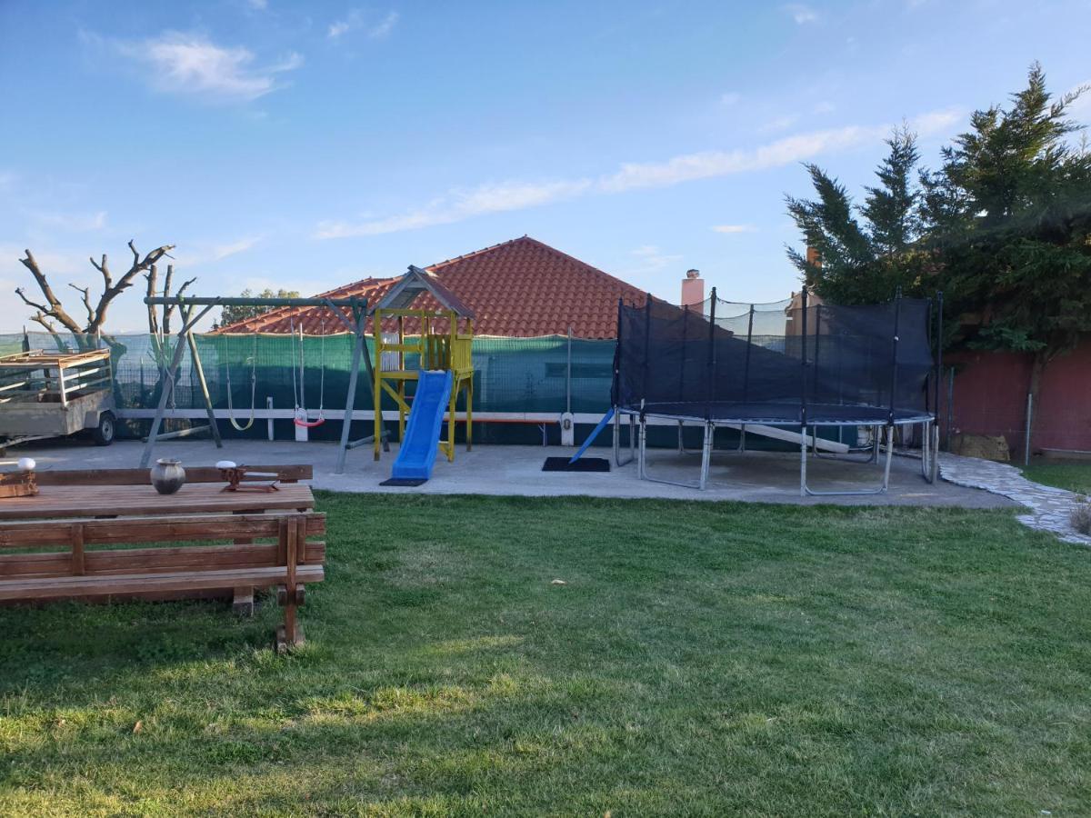 Elaion Guesthouse Ellinikón Dış mekan fotoğraf